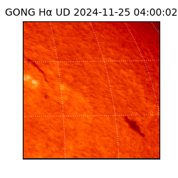 gong - 2024-11-25T04:00:02