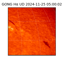 gong - 2024-11-25T05:00:02