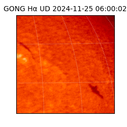 gong - 2024-11-25T06:00:02