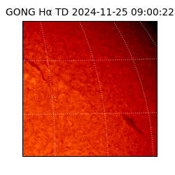 gong - 2024-11-25T09:00:22