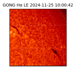 gong - 2024-11-25T10:00:42