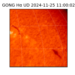 gong - 2024-11-25T11:00:02