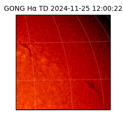 gong - 2024-11-25T12:00:22