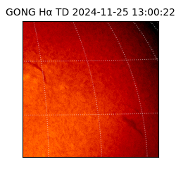 gong - 2024-11-25T13:00:22
