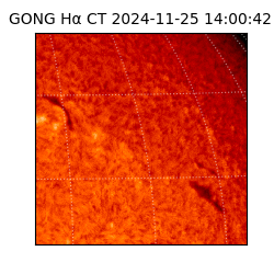 gong - 2024-11-25T14:00:42
