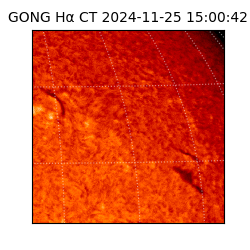 gong - 2024-11-25T15:00:42