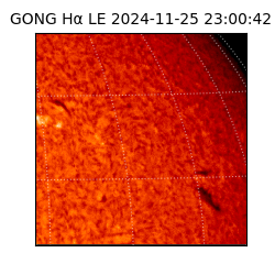 gong - 2024-11-25T23:00:42
