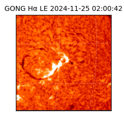 gong - 2024-11-25T02:00:42