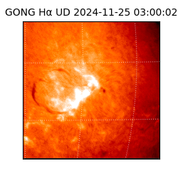 gong - 2024-11-25T03:00:02