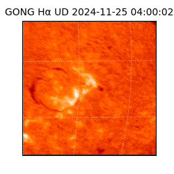 gong - 2024-11-25T04:00:02