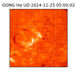 gong - 2024-11-25T05:00:02