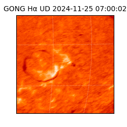 gong - 2024-11-25T07:00:02