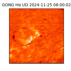 gong - 2024-11-25T08:00:02