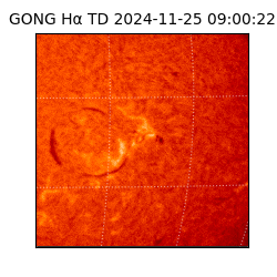 gong - 2024-11-25T09:00:22