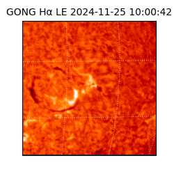 gong - 2024-11-25T10:00:42