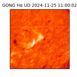 gong - 2024-11-25T11:00:02