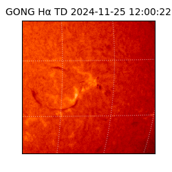 gong - 2024-11-25T12:00:22