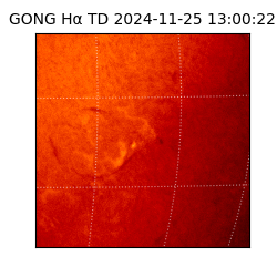 gong - 2024-11-25T13:00:22