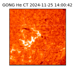 gong - 2024-11-25T14:00:42