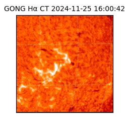 gong - 2024-11-25T16:00:42