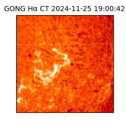 gong - 2024-11-25T19:00:42