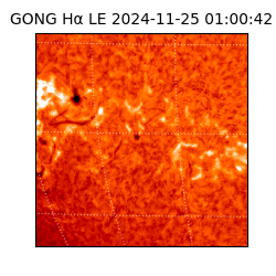 gong - 2024-11-25T01:00:42