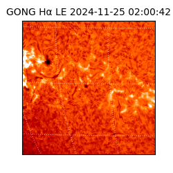 gong - 2024-11-25T02:00:42