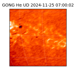 gong - 2024-11-25T07:00:02