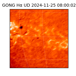 gong - 2024-11-25T08:00:02