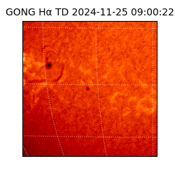 gong - 2024-11-25T09:00:22