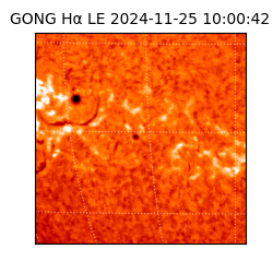 gong - 2024-11-25T10:00:42