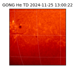 gong - 2024-11-25T13:00:22