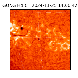 gong - 2024-11-25T14:00:42