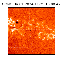 gong - 2024-11-25T15:00:42