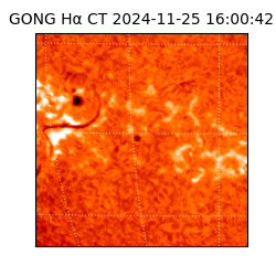 gong - 2024-11-25T16:00:42