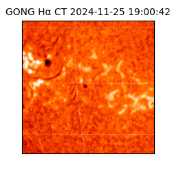 gong - 2024-11-25T19:00:42