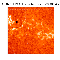 gong - 2024-11-25T20:00:42