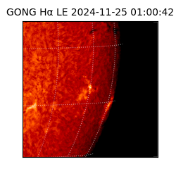 gong - 2024-11-25T01:00:42