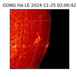 gong - 2024-11-25T02:00:42