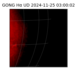 gong - 2024-11-25T03:00:02