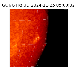 gong - 2024-11-25T05:00:02