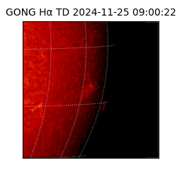 gong - 2024-11-25T09:00:22