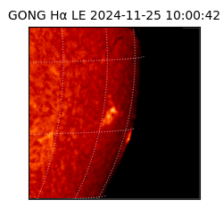 gong - 2024-11-25T10:00:42