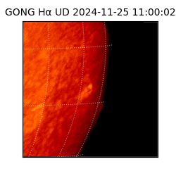 gong - 2024-11-25T11:00:02