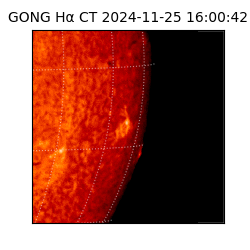 gong - 2024-11-25T16:00:42