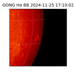 gong - 2024-11-25T17:10:02