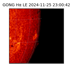 gong - 2024-11-25T23:00:42