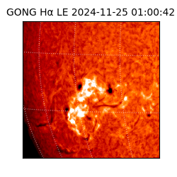 gong - 2024-11-25T01:00:42