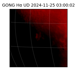 gong - 2024-11-25T03:00:02