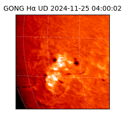 gong - 2024-11-25T04:00:02